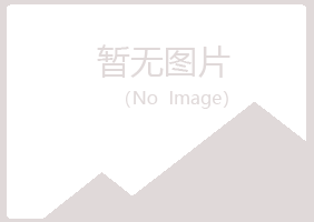 日照岚山无果能源有限公司